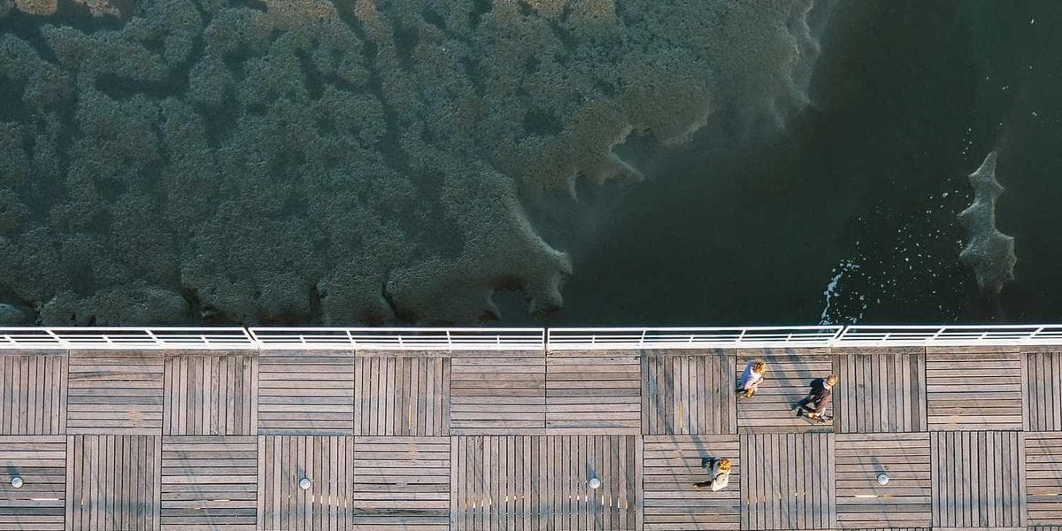 Building Resilient Systems: Implementing Core SRE Principles